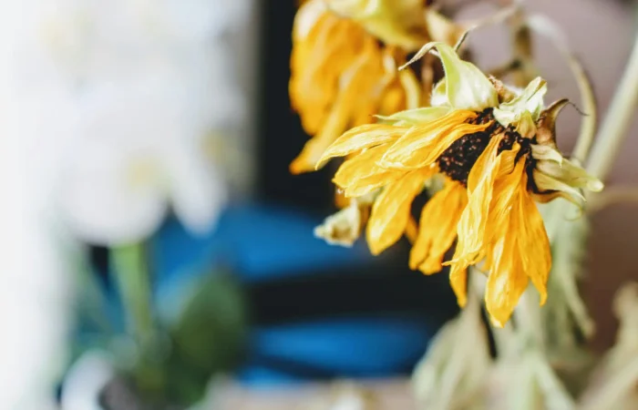 Negatif Enerji Biriktiren Eşyalar: Evinde Neleri Tutmamalısın?